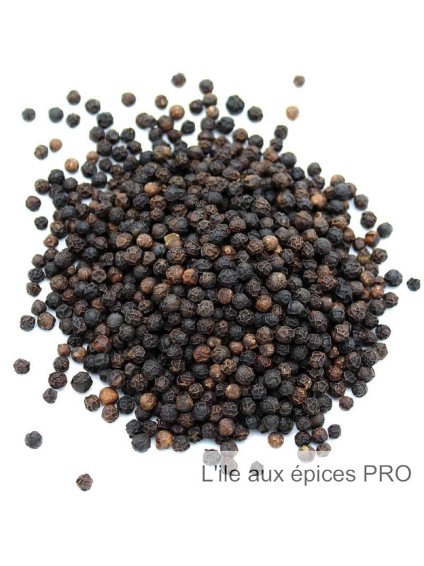 Vente en gros Poivre noir de Lampong d'Indonésie pro