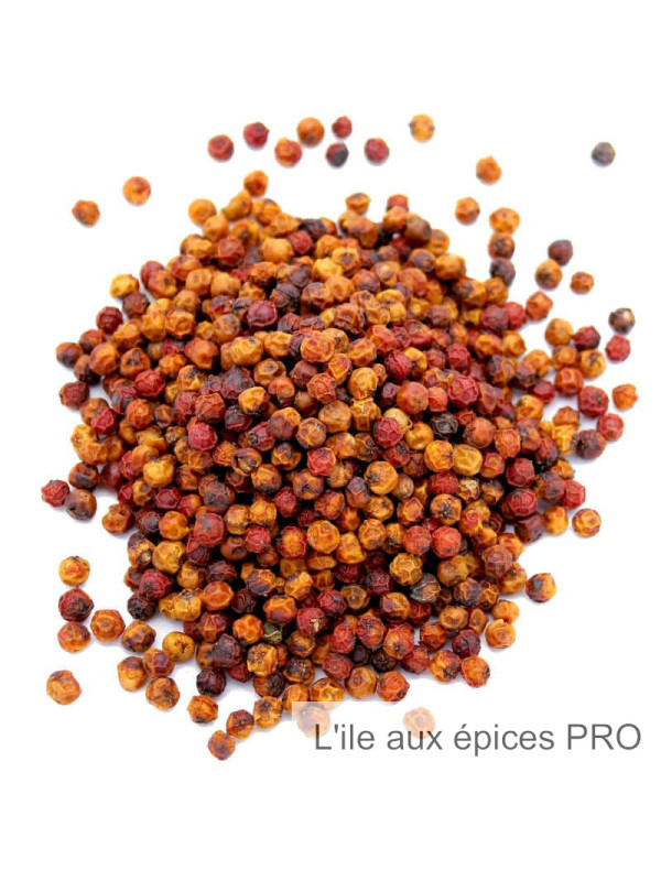 Vente en gros Poivre rouge de Pondichéry haute qualité pro