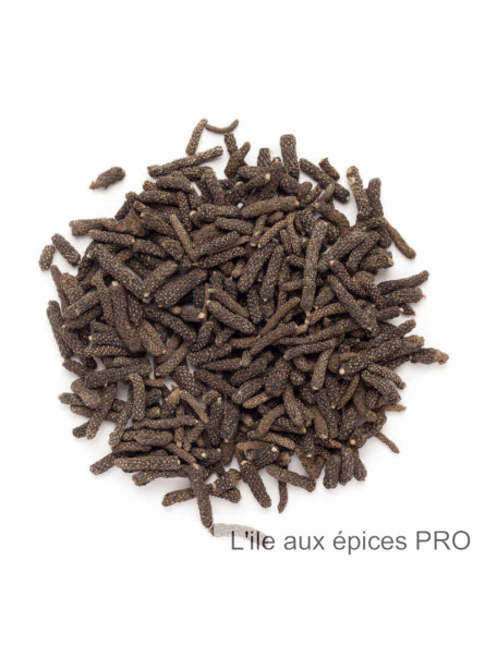 Vente en gros Poivre long du Népal (poivre choco) pro