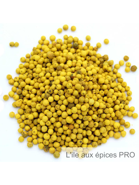 Vente en gros Poivre à l'orange bio pro Vente en gros Poivre à l'orange bio pro