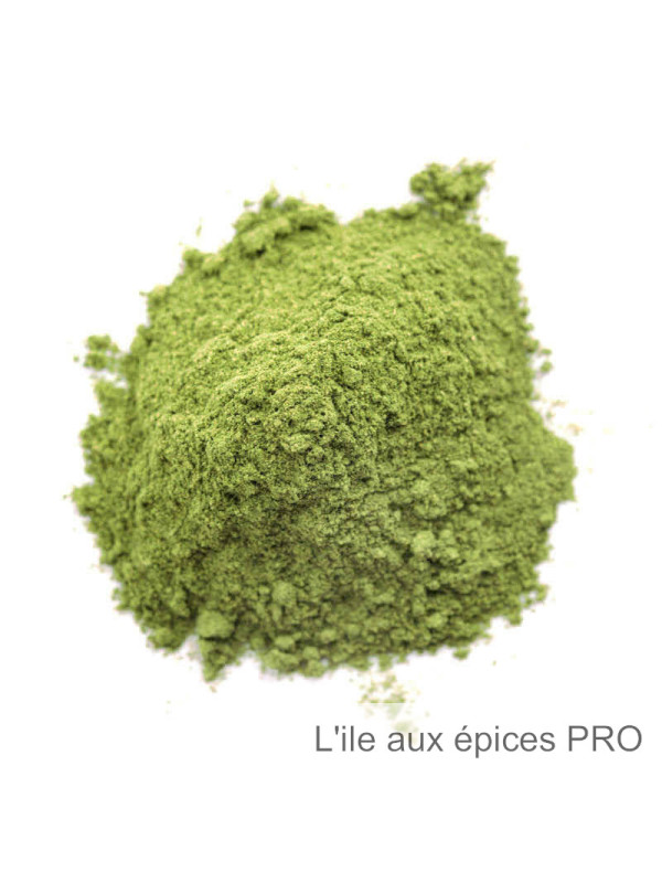 Vente en gros Herbe d'orge en poudre crue pro Vente en gros Herbe d'orge en poudre crue pro