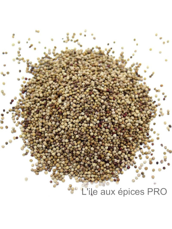 Vente en gros Perles de poivre long pro