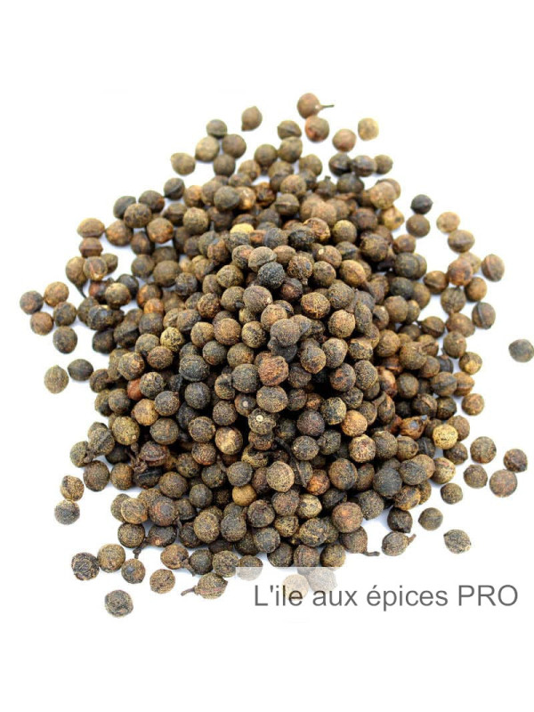 Vente en gros Baies de cuméo (ou poivre cumeo) pro
