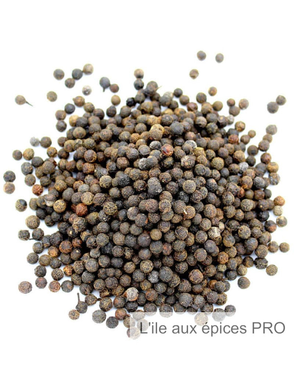 Vente en gros Baies Mang tang poivre verveine pro