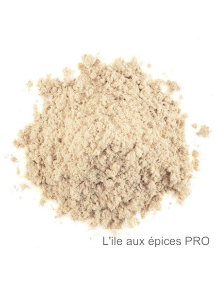 Vente en gros Shatavari Bio poudre pro