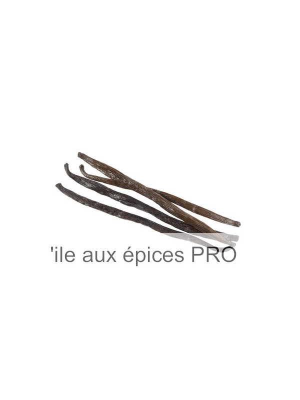 Grossiste Vanille de Papouasie Nouvelle-Guinée pro