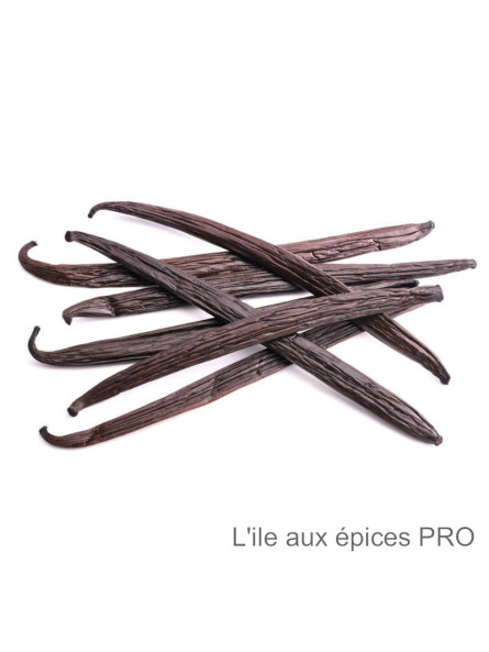 Grossiste Vanille de Nouvelle-Calédonie pro