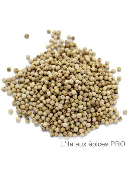 Grossiste Poivre de Penja blanc pro