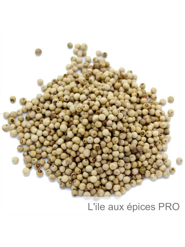 Grossiste Poivre de Penja blanc pro