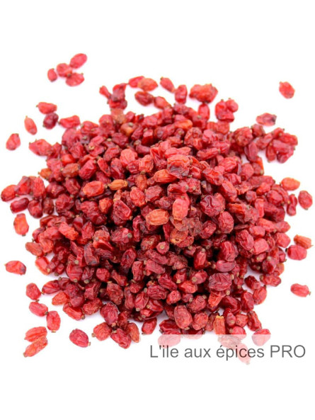 Grossiste epine vinette berberis pro